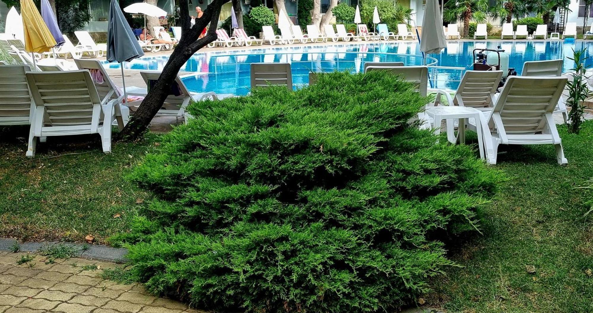Niko Apartments Pantai Sunny Bagian luar foto
